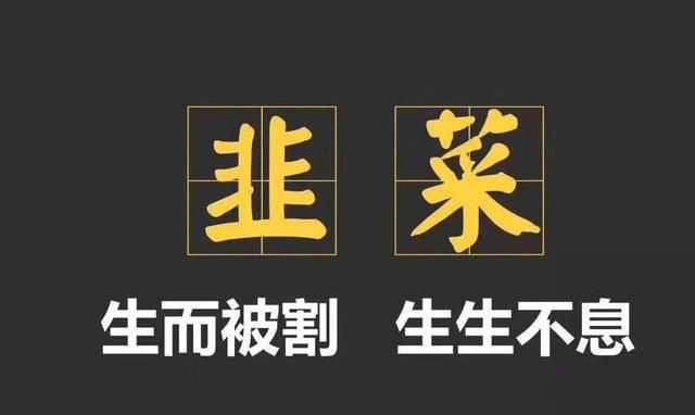 奇点币最新动态，数字货币新纪元探索之路