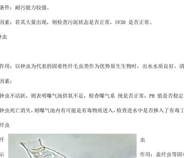 活塞虫最新研究与应用进展